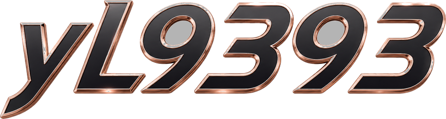 yl9393 logo